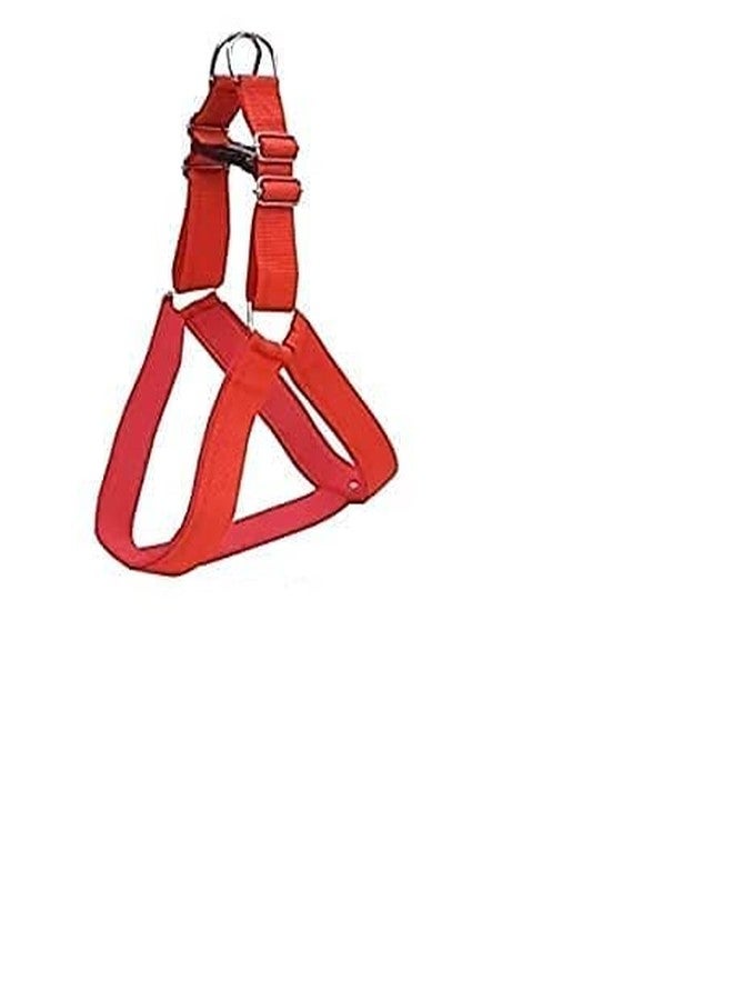 Smart Pups Harness for Large Dog- 1.25 Inch Body Harness and Leash (Color-May Vary) (Pack of 1) - Image 3